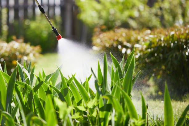 Tamper-Resistant Bait Stations for Rodents in Russell
