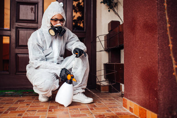 Attic and Crawl Space Rodent Treatment in Russell
